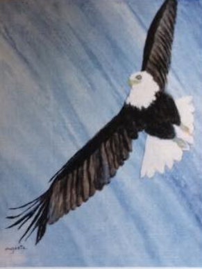 Bald Eagle Card