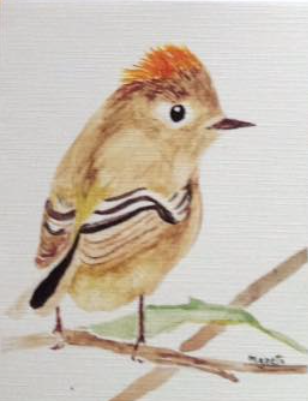 Kinglet Card